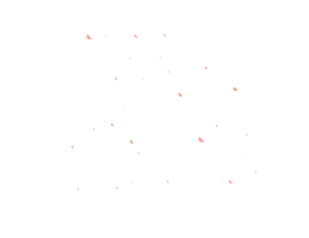 LifePeopleTransparent